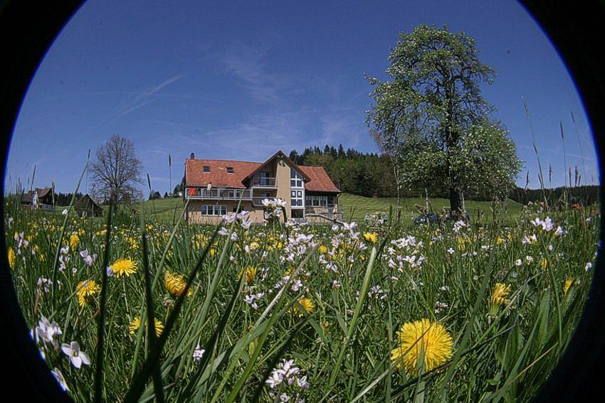 Wiese Lagerhaus